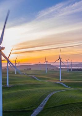 Wind turbine in a field